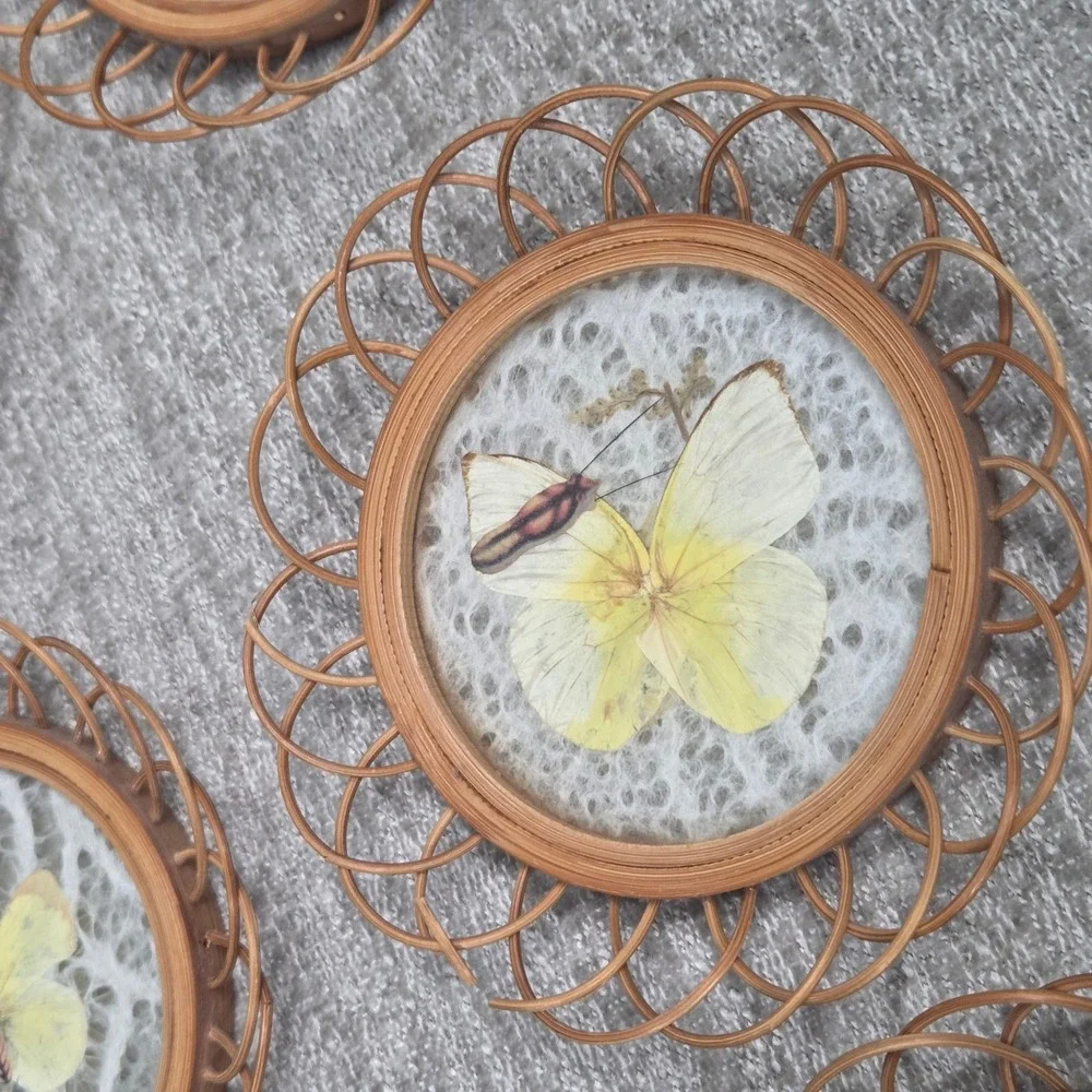 Vintage Bamboo Wicker Drink Coasters Set Pressed Butterfly Glass Caddy Boho 7pc